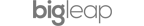 big_leap logo